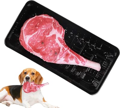 Hondenspeeltje Steak - Kauwspeelgoed Hond - Interactief Spelen - Met Piepfunctie - 23 cm - Bruin