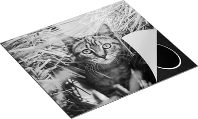 Chefcare Inductie Beschermer Kat tussen de Stro Balen - Zwart Wit - 60x50 cm - Afdekplaat Inductie - Kookplaat Beschermer - Inductie Mat