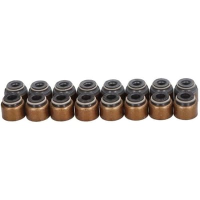 Victor Reinz Pakkingset, klepsteel REINZ 12-53093-01