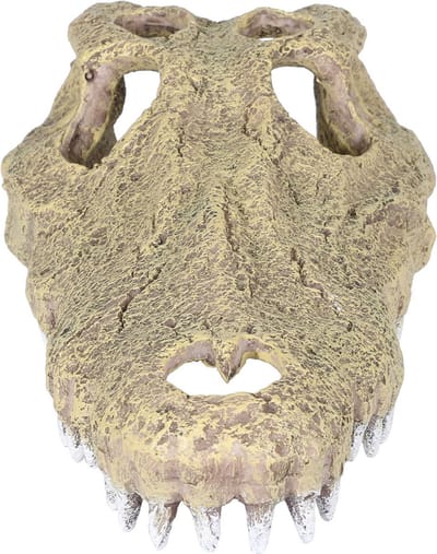 Aqua Della Krokodil Schedel - Aquarium - Ornament - 28.5x14.5x8 cm