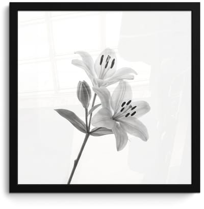 Poster in lijst - Fotolijst 40x40 cm - Posters - Lelies - Elegant - Zwart - Wit - Posterlijst zwart - Decoratie - Wanddecoratie woonkamer - Muurdecoratie slaapkamer