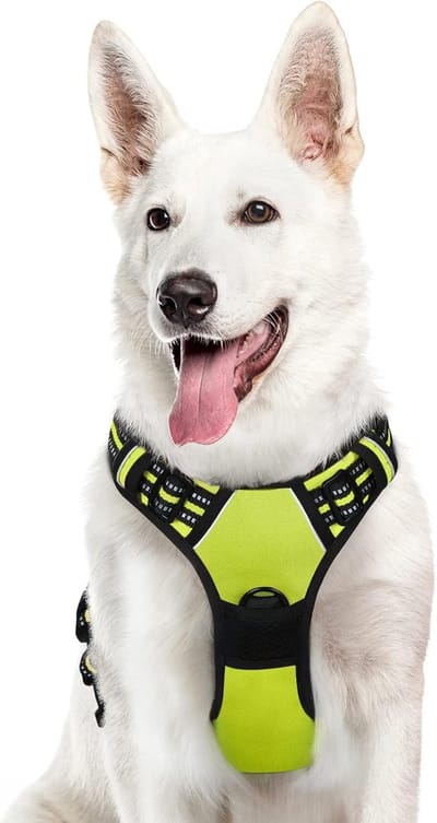 Hondentuig No Pull, Hondenharnas voor Grote Honden, Verstelbare Harnas Hond met Reflecterend Strepen, Gewatteerd Zacht Ademend, Hondentuigje Anti-trek voor Wandelen Training, Groen XL