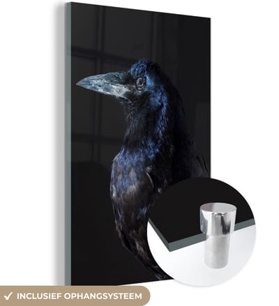 MuchoWow® Glasschilderij 120x180 cm - Schilderij acrylglas - Vogel - Dieren - Zwart - Foto op glas - Schilderijen