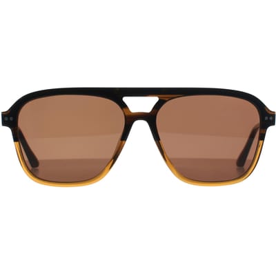 Ted Baker Aviator Heren Bruin Hoorn Gradiënt Bruin TB8259