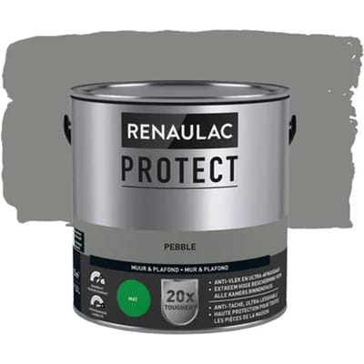 Renaulac Protect Muurverf - Mat - Pebble - 2,5l