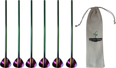 RVS Lepelrietjes Regenboog 6 Stuks Lepel Rietjes Lange Lepels 21,5 CM Thee Lepels Longdrink Lepels