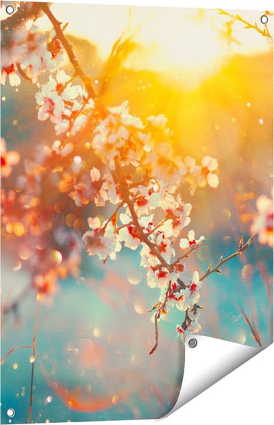 Gards Tuinposter Bloesemboom tijdens Zonsondergang - Bloem - 60x80 cm - Tuindoek - Tuindecoratie - Wanddecoratie buiten - Tuinschilderij