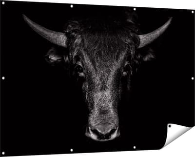 Gards Tuinposter Stierenkop - Stier - Zwart Wit - 150x100 cm - Tuindoek - Tuindecoratie - Wanddecoratie buiten - Tuinschilderij