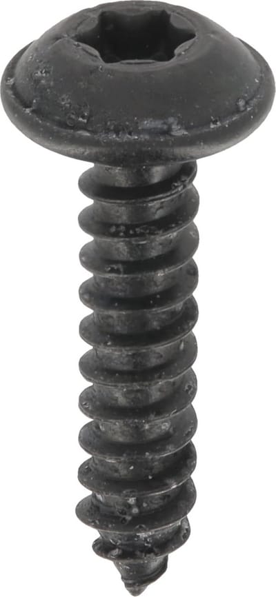 Zwarte Zelfborende Schroeven met Ronde Kop en Torx Aandrijving - 4,2x19 mm (30 stuks)