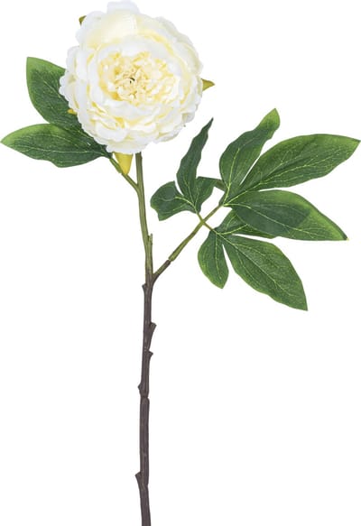 Easyplants | Kunstbloem Pioenroos 61 cm wit | Zijde | Nepbloemen | wit | Onderhoudsvrij | Kant-en-klaar