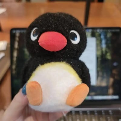 10cm Pingu Pluche Speelgoed Schattig Gevuld Zwarte Pinguïn Pluche Beestjes Kawaii Dier Knuffelbare Pop Verjaardagscadeaus Meisje Huisdecoratie 10cm black