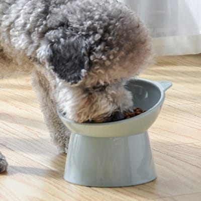 Bol à nourriture pour chat surélevé incliné surélevé facile à nettoyer abreuvoir pour animaux de compagnie pour petits chiens Blue Gray