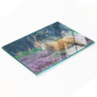 Decoratieve glazen keukensnijplank met hertenmotief in lavendelkleur, 80x52 cm