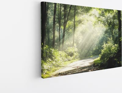 Saammp Canvas Schilderij - Bos - Bomen - Pad - Natuur - Landschap - 45x30 - Foto op canvas - Wanddecoratie - Muurdecoratie Woonkamer - Slaapkamer decoratie - Canvas Print