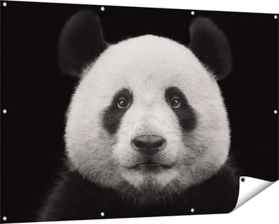 Gards Tuinposter Panda - Pandakop - 150x100 cm - Tuindoek - Tuindecoratie - Wanddecoratie buiten - Tuinschilderij