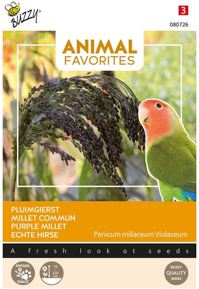 Buzzy Seeds Animal Favorites Pluimgierst