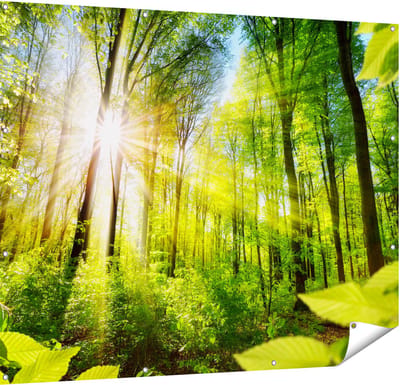 Gards Tuinposter Weg Omringd met Bomen in het Bos - 150x120 cm - Tuindoek - Tuindecoratie - Wanddecoratie buiten - Tuinschilderij