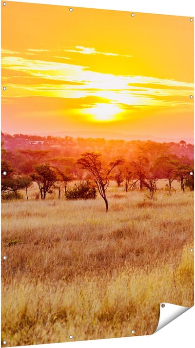 Gards Tuinposter Zonsondergang in de Savanne - 120x180 cm - Tuindoek - Tuindecoratie - Wanddecoratie buiten - Tuinschilderij