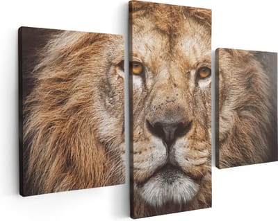 Artaza Canvas Schilderij Drieluik Leeuw - Leeuwenkop - Kleur - 90x60 - Foto Op Canvas - Canvas Print
