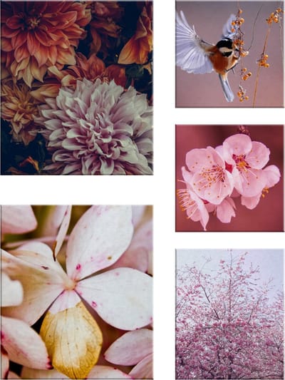 Art for the Home Zee van Bloemen Canvas Set van 5 80x60 cm