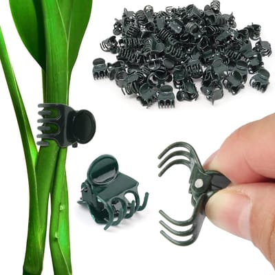 Famanu – 100st orchideeën Klemmen Plant Clips orchideeën Klemmen grote tuin Plant Clips voor orchideeën Kleine wordt gebruikt voor het bevestigen van planten en het ondersteunen van orchidee clips