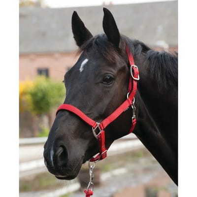 Halster voor paarden HorseGuard Lea