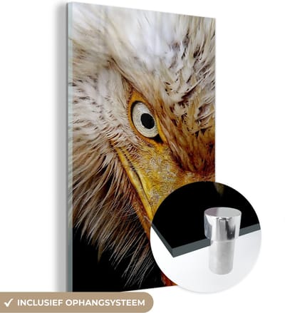MuchoWow® Glasschilderij 120x180 cm - Schilderij acrylglas - Vogel - Oog - Snavel - Foto op glas - Schilderijen