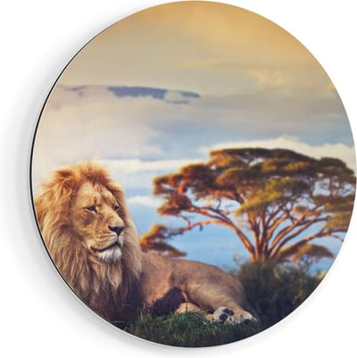 Artaza Dibond Muurcirkel Leeuw Tijdens Zonsondergang - Ø 90 cm - Groot - Wandcirkel - Rond Schilderij - Voor Binnen en Buiten