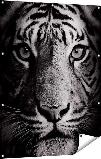 Gards Tuinposter Tijgerkop - Tijger - Zwart Wit - 90x120 cm - Tuindoek - Tuindecoratie - Wanddecoratie buiten - Tuinschilderij