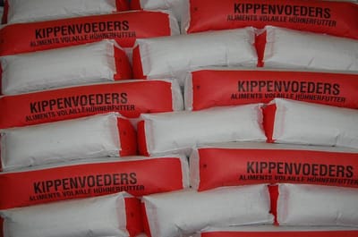 Van Gorp Sierhoender korrel groei 20KG