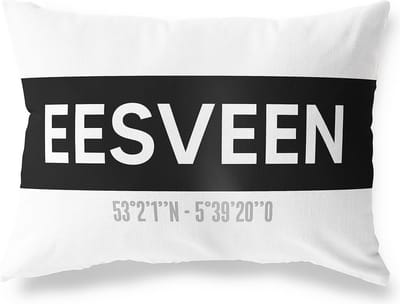 Tuinkussen EESVEEN - OVERIJSSEL met coördinaten - Buitenkussen - Bootkussen - Weerbestendig - Jouw Plaats - Studio216 - Modern - Zwart-Wit - 50x30cm