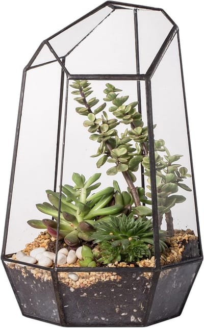 Geopend Geometrisch Glazen Terrarium voor Vetplanten en Luchtplanten - 16,5 x 14,5 x 25 cm - Onregelmatige Glazen Plantenbak voor Binnen - Handgemaakt Tuindecoratie, Modern Design, Uniek Interieuraccessoire