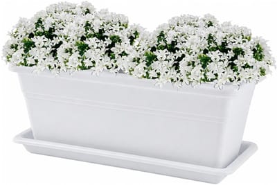 Plasticforte Plantenbak met water opvangschotel - wit - rechthoek - 40 x 18 x 15 cm - balkon - terras - kunststof