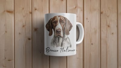 Mok Bracco Italiaanseo