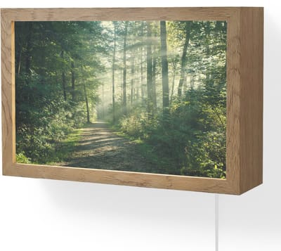 Wandlamp 30x20 cm - Oplaadbaar - Bos - Pad - Zon - Bomen - Groen - Natuur - Wandlampen binnen woonkamer - Slaapkamer lamp met kabel - Decoratieve nachtlamp - Vloerlamp snoer