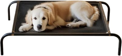 Verhoogd Hondenbed - Puppy Bed - Buiten Kamperen - Draagbaar Ademend - Maat S - Zwart