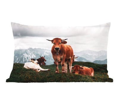 Sierkussens - Kussentjes Woonkamer - 50x30 cm - Dieren - Koe - Berg