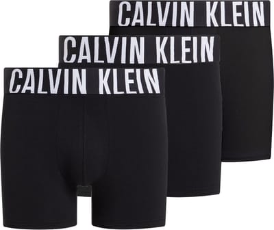 Calvin Klein Boxer Briefs (3-pack) - heren boxers extra lang - zwart
