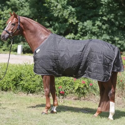 Paardendeken Kavalkade Stallion Chest 200 g