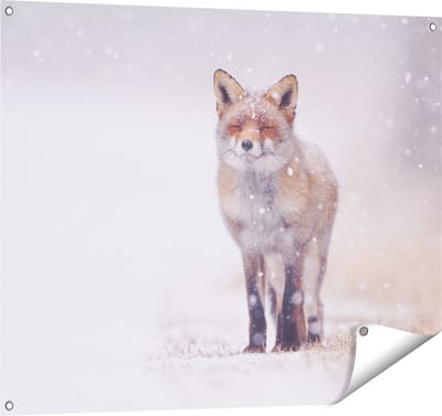 Gards Tuinposter Vos in de Sneeuw - 100x80 cm - Tuindoek - Tuindecoratie - Wanddecoratie buiten - Tuinschilderij