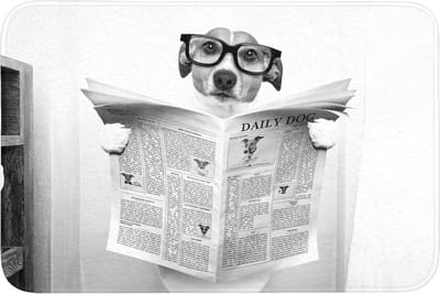 Badmat 90x60 cm - Antislip - Hond - Krant - Toilet - Zwart wit - Dieren - Badmatten voor badkamer - Badkamermat - Douchemat - Badkamer mat