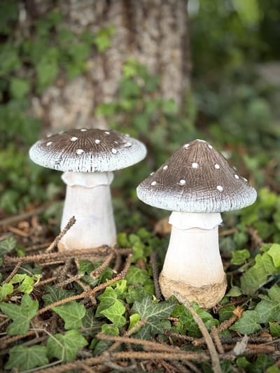 set 2 paddenstoelen Vliegzwam 19 cm hoog -bos - herfst - halloween - winter - lente - zomer -decoratie - interieurdecoratie - tuindecoratie - cadeau - geschenk - voor haar - Moederdag - Vaderdag - Verjaardag - Nieuwjaar - Kerst - Pasen
