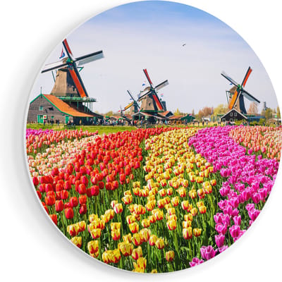 Artaza Forex Muurcirkel Kleurrijke Tulpen Bloemenveld - Windmolen - 80x80 cm - Groot - Wandcirkel - Rond Schilderij - Wanddecoratie Cirkel