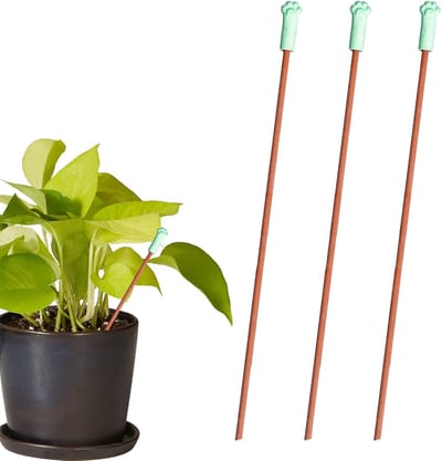 Grondtestkit - Plant watermeters - Plantenverzorging - Nauwkeurige vochtdetectie - 3-pack - Groen