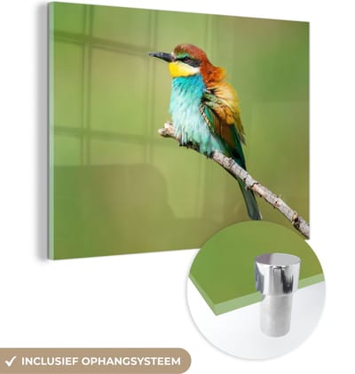 MuchoWow® Glasschilderij 40x30 cm - Schilderij acrylglas - Vogel - Dieren - Bijeneter - Foto op glas - Schilderijen