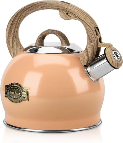 Theeketel Kookplaat - Waterkoker Fluitend - Water Koken - Luid Fluitje - 2.1 Liter - Perzik