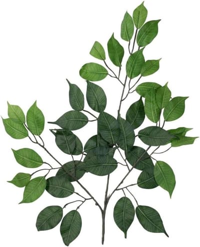 Kunst Ficus Benjamini Tak - Kunsttak Sakura - Decoratie Binnen - Realistisch Uiterlijk - 55 cm - Groen