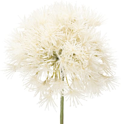Kunstbloem van het geslacht Allium, verfijnd ontwerp voor binnengebrui