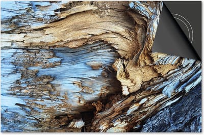 Inductie beschermer 60x60 - afdekplaat inductie mat - Dietrix Kookplaat beschermer - Exclusief - Hout en Boom - Schors blauw grijs