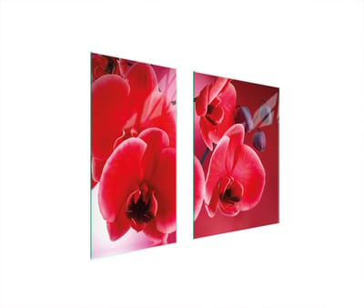 TMK ArtDeko - Snijplank - Glas - 75x52 cm - Orchidea